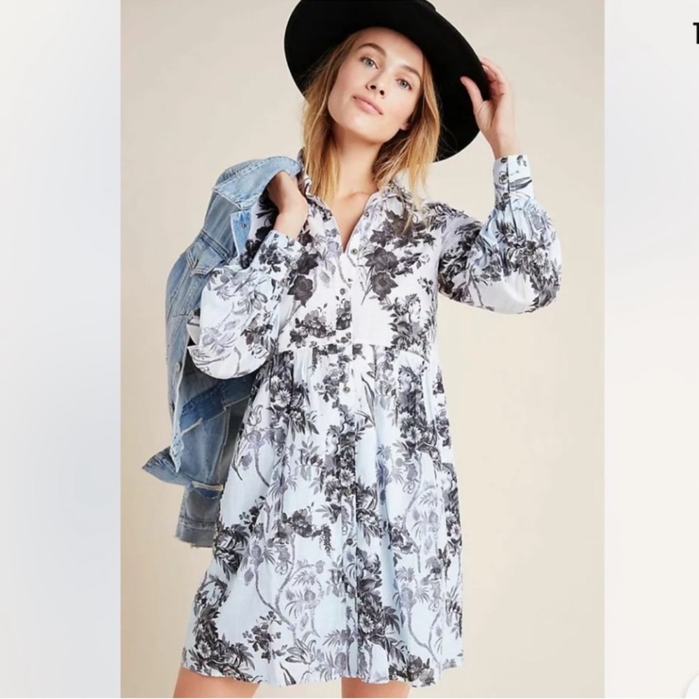 Anthropologie Lavinia Embroidered Floral Ombre Shirt Dress Sz 4